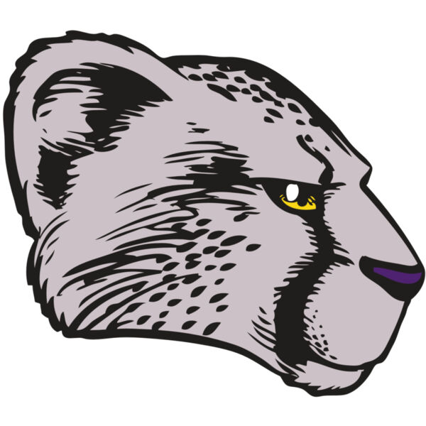 BAW CHEETAH 20 RC Thumbnail