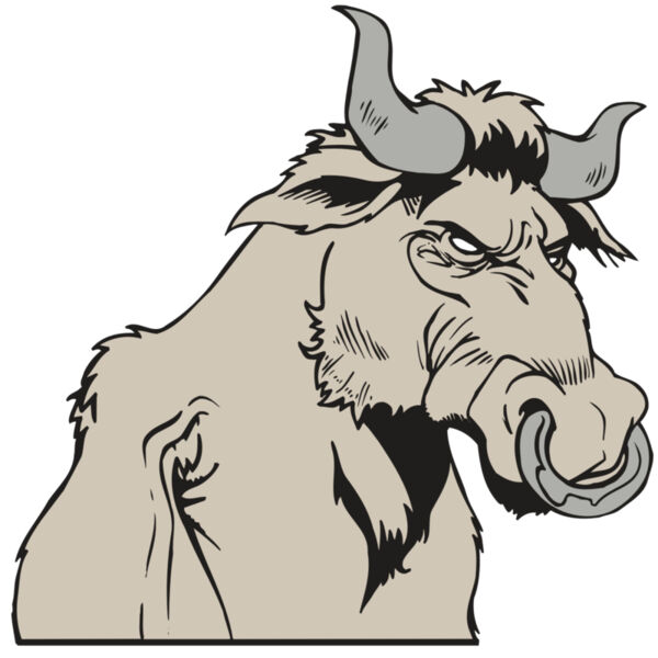 AR5 BULL 08 RQC Thumbnail