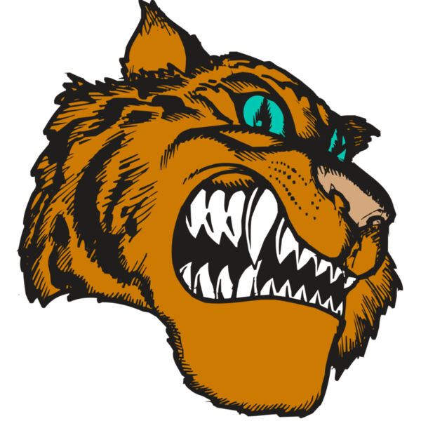 BAW TIGER 11 RC Thumbnail