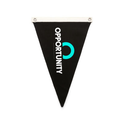Opportunity Flag Thumbnail